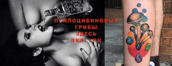 мет Абаза