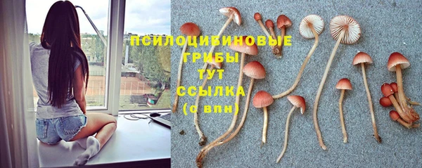 MDMA Абинск