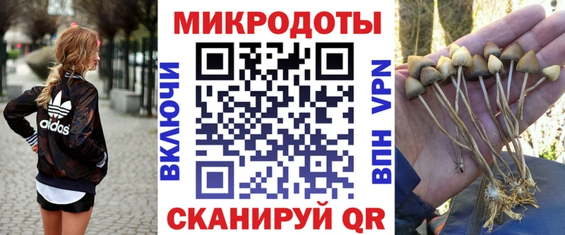 hydra tor  Тихорецк  Галлюциногенные грибы ЛСД 