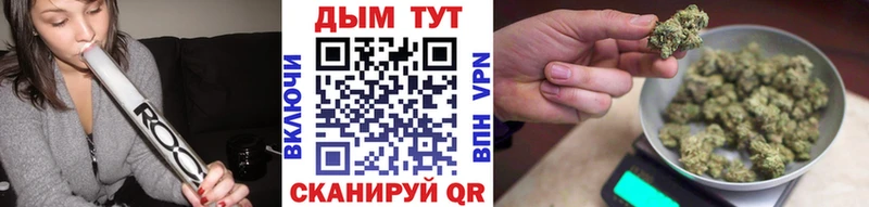 купить закладку  Тихорецк  mega сайт  Бошки марихуана Amnesia 
